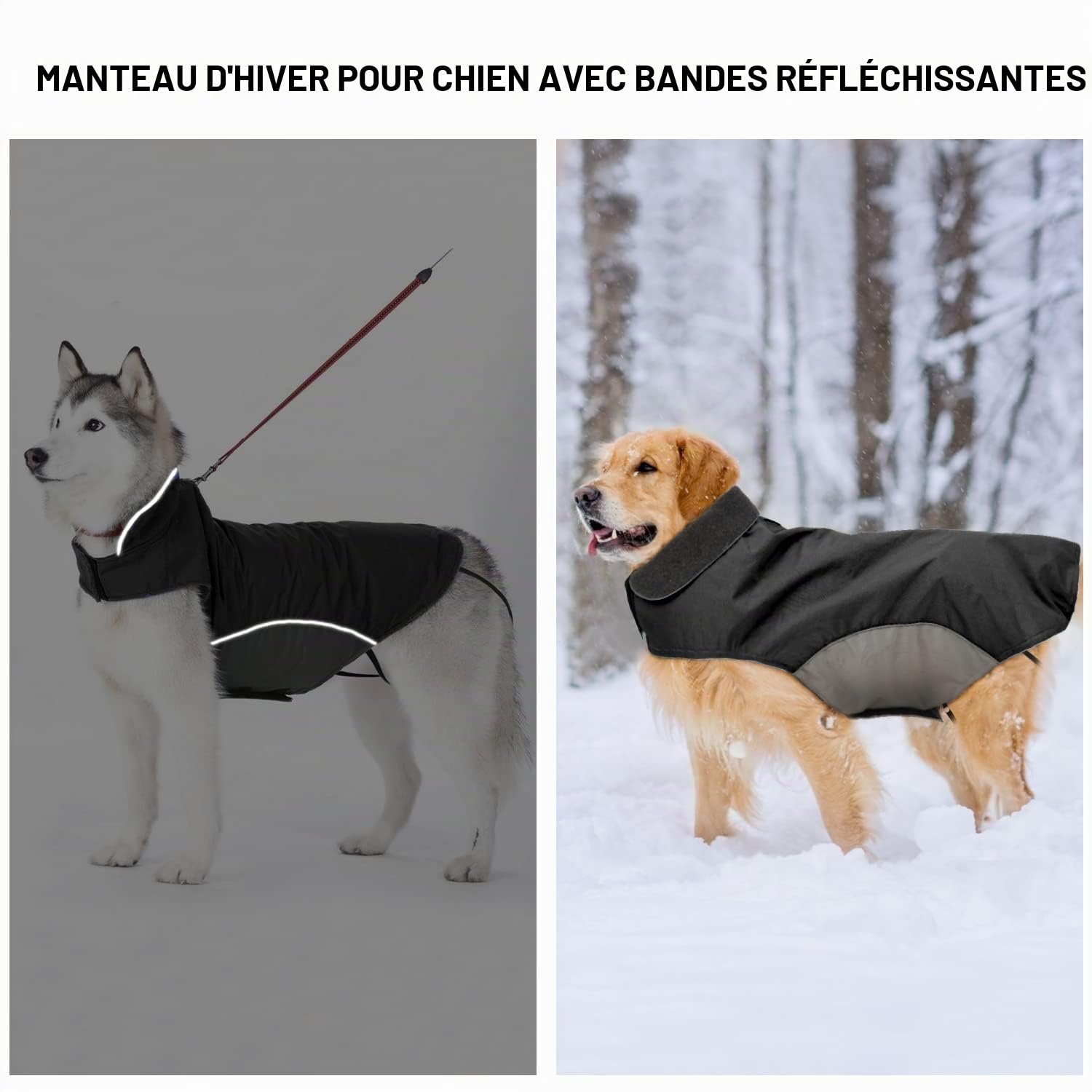 Manteau d'hiver imperméable pour chien grand veste polaire avec ouverture laisse Noir 5XL