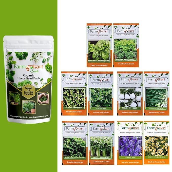 Devender Organic Farm Organic Herb Seeds Pack, 10 Essential Varieties, Sweet Basil, Celery, Thyme, Parsley, Dill, Oregano, Lavender, Fennel, Garlic Chives, Chamomile for Home Garden