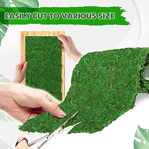 DUSPRO 51x55 Moss Roll, Moss Table Runner, Moss Carpet