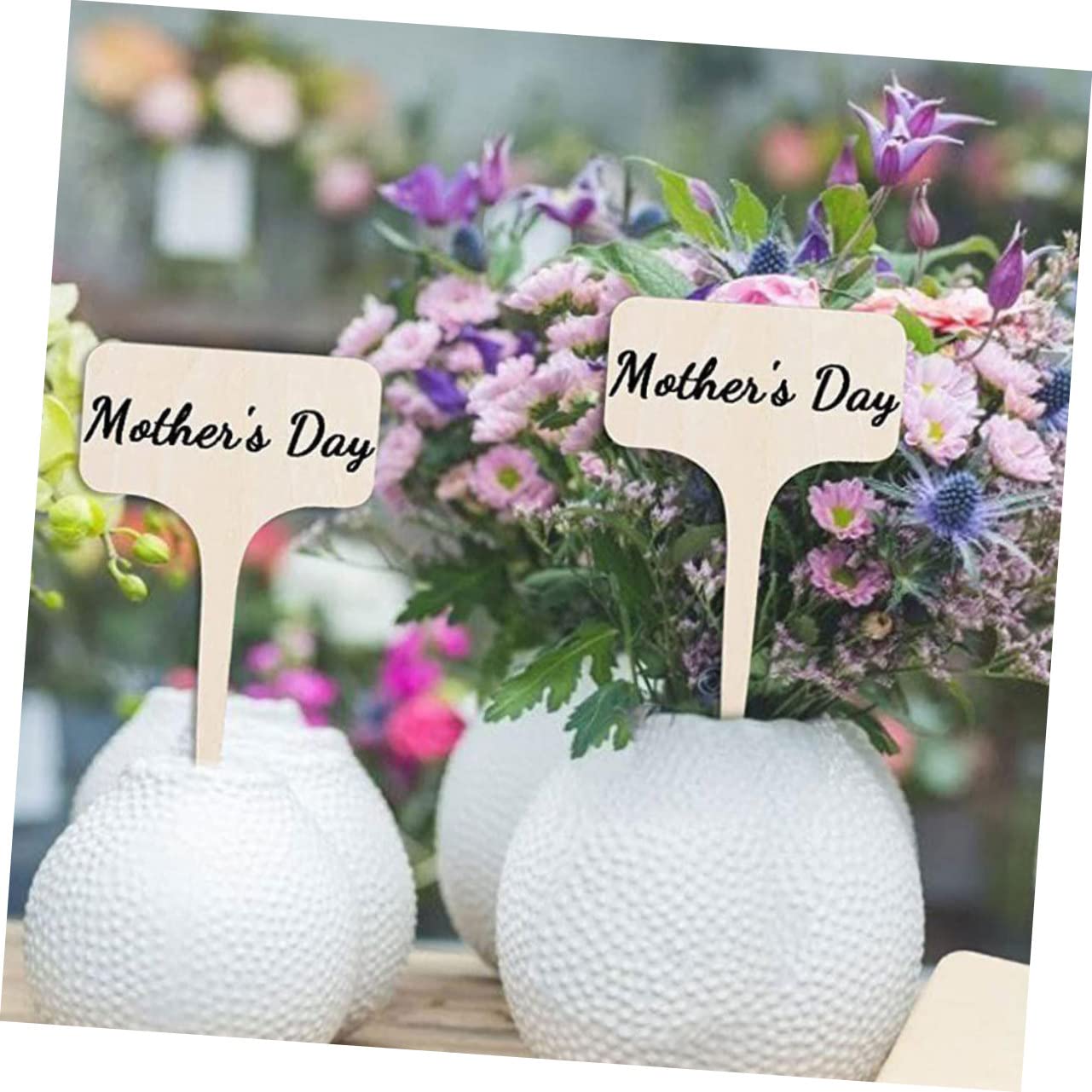 Milisten 4 ensembles Étiquette De Jardinage Nom Plante Piquets Plantes Petites Jardinières Étiquettes De Jardin Étiquettes Blanches Imperméables Pour 20 pièces * 4