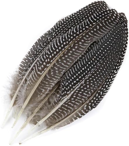 Miniatura 4 de HYCCRAFT Plumas naturales de gallina de Guinea para manualidades, atrapa sueños, boda, decoración del hogar, plumas sueltas en blanco y negro,