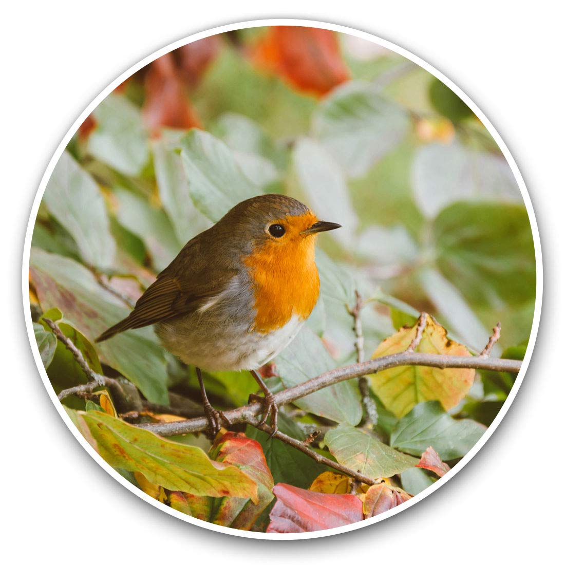 Vinyl Stickers (Set of 2) 10cm - Cute Red Robin Bird Garden Winter Decals for Laptops,Tablets,Luggage,Scrap Booking,Fridges, 14318