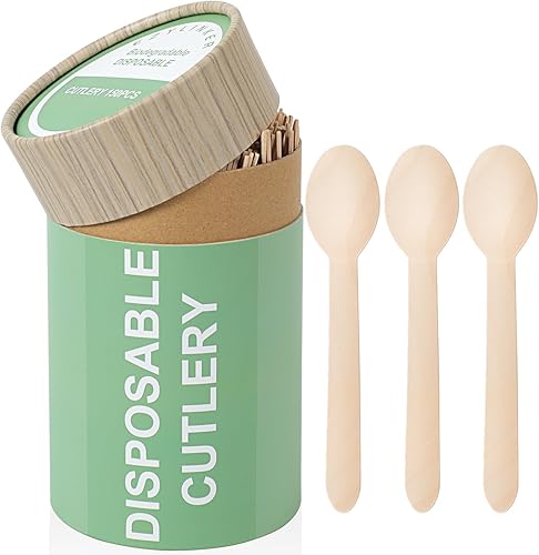 Juego de cucharas de madera desechables (100 unidades), alternativa al plástico, ecológico, biodegradable, compostable, juego de cubiertos