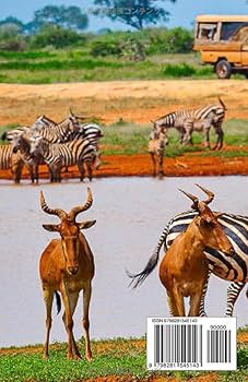 ケニア 旅行ガイド 2025～2026年: ケニアのサファリ、人々、海岸