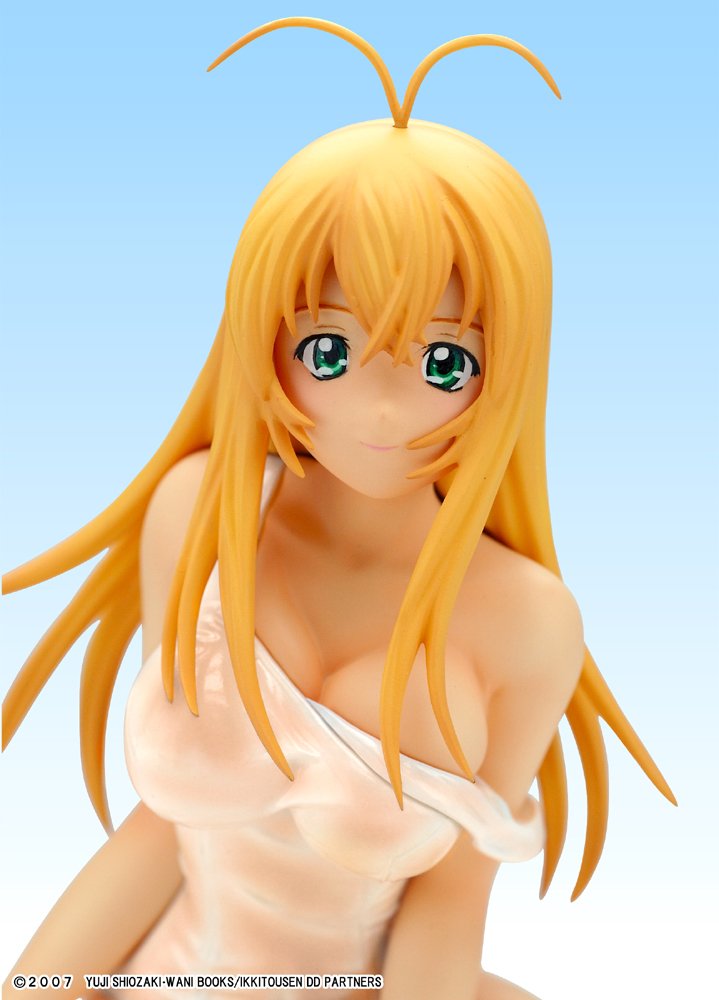 Amazon.co.jp: 一騎当千DD 孫策伯符 スク水スケスケVer. (1/6スケール