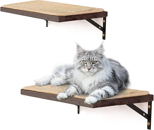 NEW RUICHENG Cat Activity Wall Shelves,with sisal Cushion-sisal Surface for cat Scratching and Resting,Easy & Secure Wall Mount,Neutral Style for