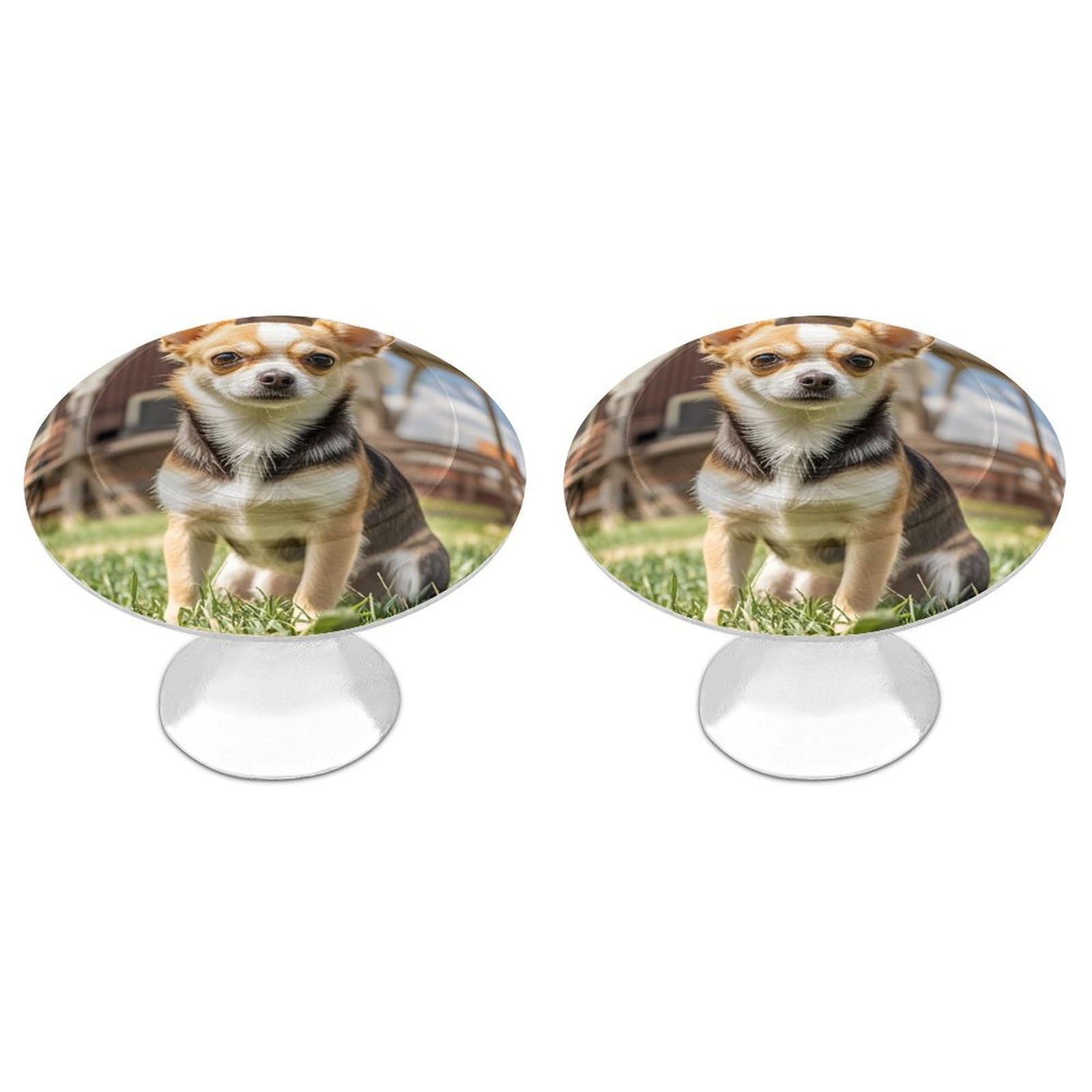 FekiLoot Farm Cute Chihuahua Cabinet Knob Kitchen Drawer Knob Stainless Steel Round Drawer Pulls Modern Cabinet Hardware Vintage Dresser Drawer for Kitchen Bathroom Closet Dresser Cabinets