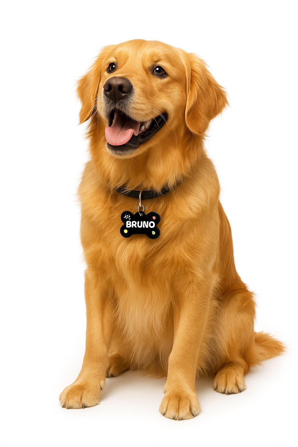 Payton Perry Personalized Dog Name ID Tag for Dog/Cat | Lightweight, Water-Proof, Rust-Proof and Skin Safe (Bone Shape)-image-41