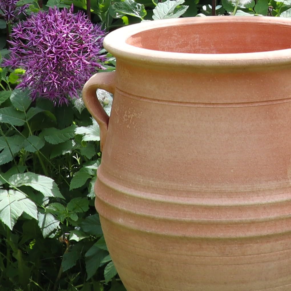 Palatina Werkstatt Terracotta Amphore Thymus 40cm - 100% Handgefertigtes Unikat - Exklusive winterfeste Amphore für den Garten- & Innenbereich