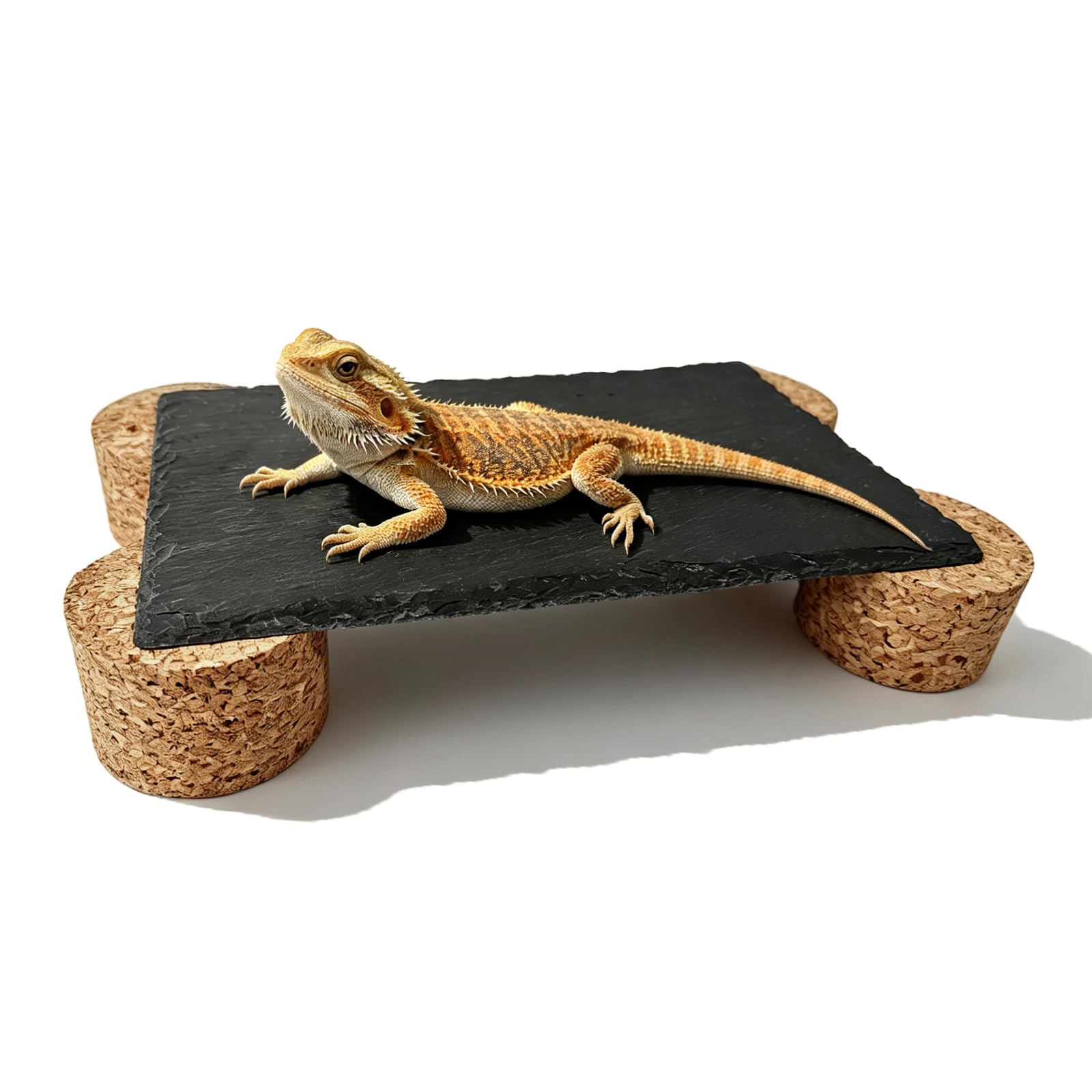 Gxsdj Bearded Dragon Basking Rock Platform,Reptile Basking Slate Rock with Wooden Stump,Leopard Gecko Hides and Caves Tank Accessories for Lizards,Snakes,Ball Pythons,Turtle