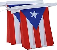 Vista 87 de Guatemala 19.7 ft BUNTING Flag 20 banderas 9'' x 6'' - Banderas de cuerda guatemalteca 5.9 x 8.3 in - AZ FLAG