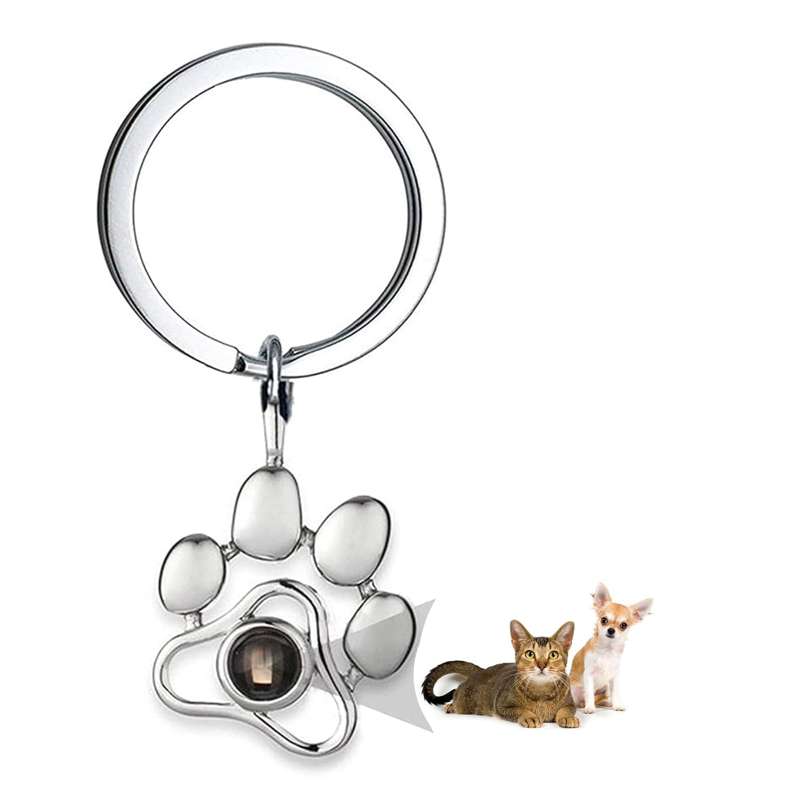 ROMTZD Customise Pet Memorial Plaques with Photo, Projection Key Chain, Memorial Cat/Dog Gift Customized Pet Picture Keychain, Pets Bereavement Gifts Loss Of Pet Gift (Silvery)