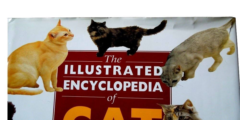 本256／洋書　図鑑　all the World's Cat Breeds The Illustrated Encyclopedia of Cat Breeds: The