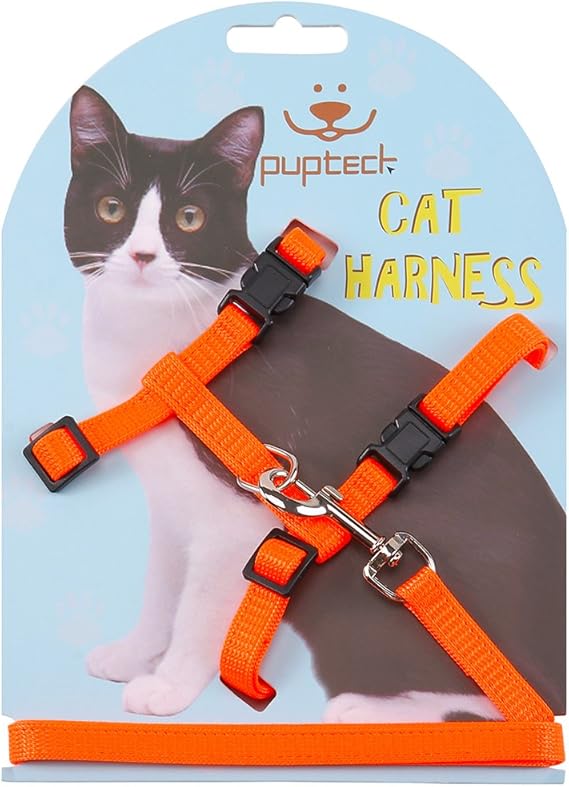 using a cat harness