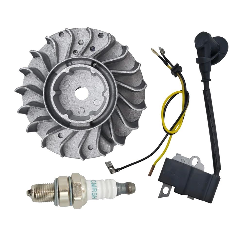 Volant d'inertie et bobine d'allumage pour tronçonneuse MS251