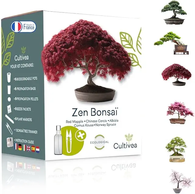 CULTIVEA® Kit de 6 Bonsái para cultivar -100% Semillas francesas - Jardín - Idea de regalo (Arce rojo, Cercis chino, Albizia, Cornejo kousa, Abeto de Noruega)