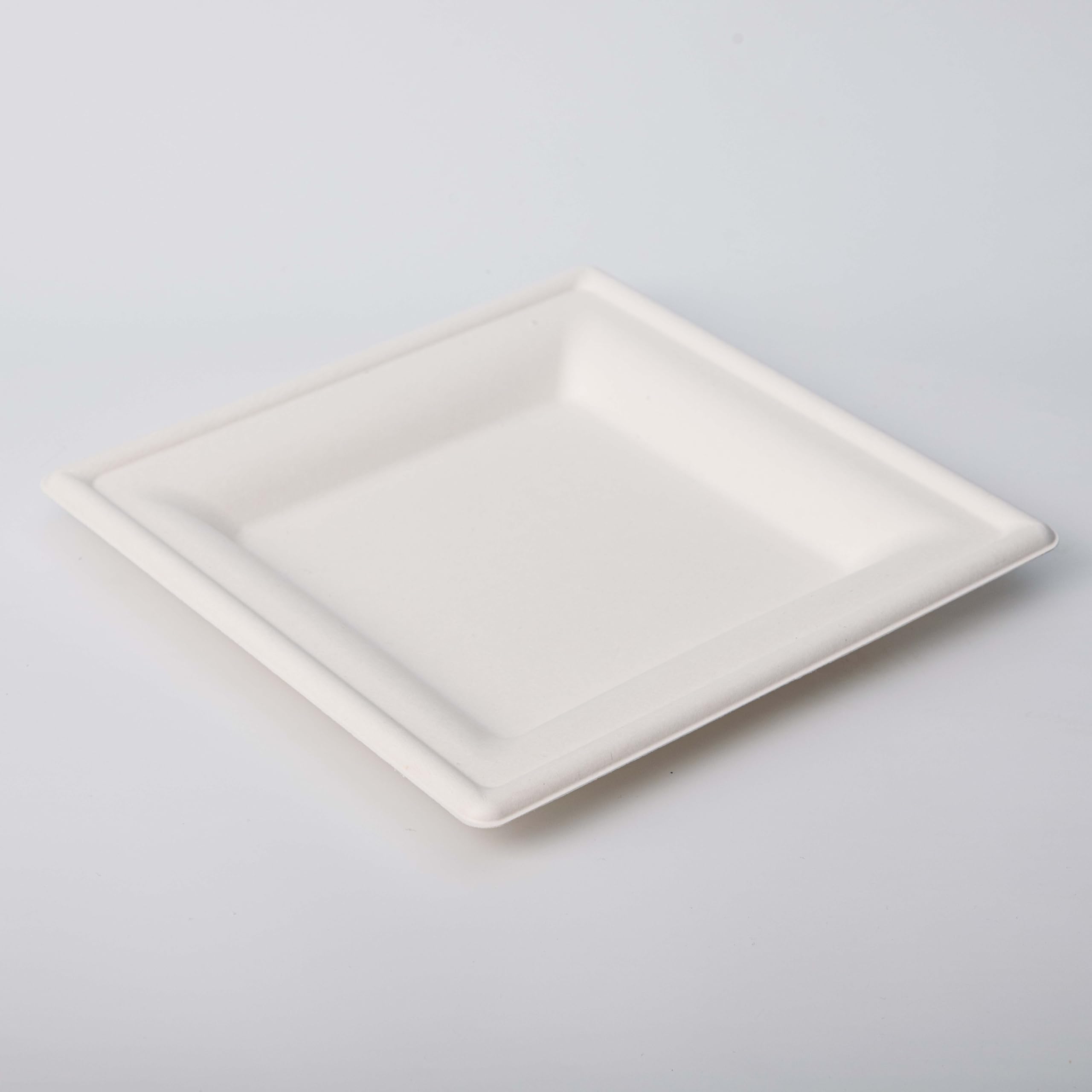 500 sztuk Kwadratowych Talerzy z Bagassy 26x26 cm (10") | Ekologiczne Biodegradowalne Jednorazowe Talerze Obiadowe na Przyjęcia, Wydarzenia i Catering