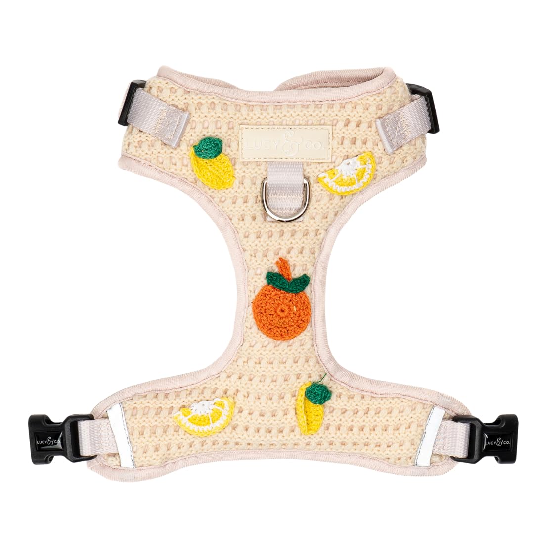 Lucy & Co. Main Squeeze Crochet No-Pull Dog Harness, Adjustable Front Clip Harness with Comfort Padding, X-Small โ image 1