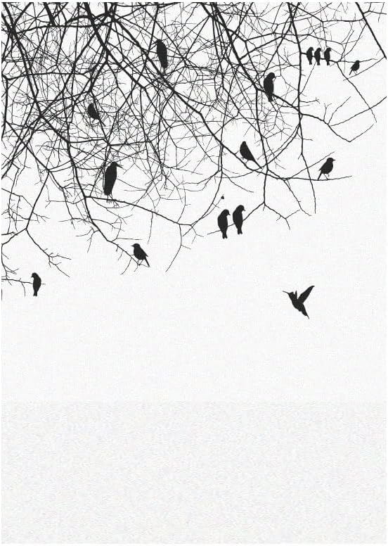 Window Film, Window Film Privacy Nordic Style Birds No Glue Glass Sticker Sun Protection Heat Control Adhesive Sticker for Furniture,Window Stickers(60x120cm)
