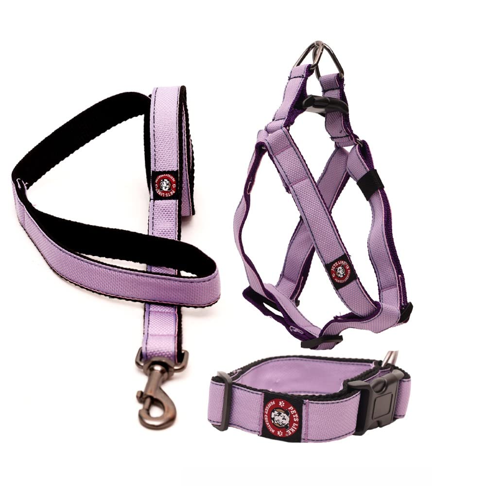 PETS LIKE PREFECT CREATION Dog Designer Combo Pack of Harness, Neck Collar Belt and Training Leash Set| Dog Harness for Large Dogs Comes with Purple Color Pack of 3. (B0BNL762PG) Amazon Price History, Amazon Price Tracker