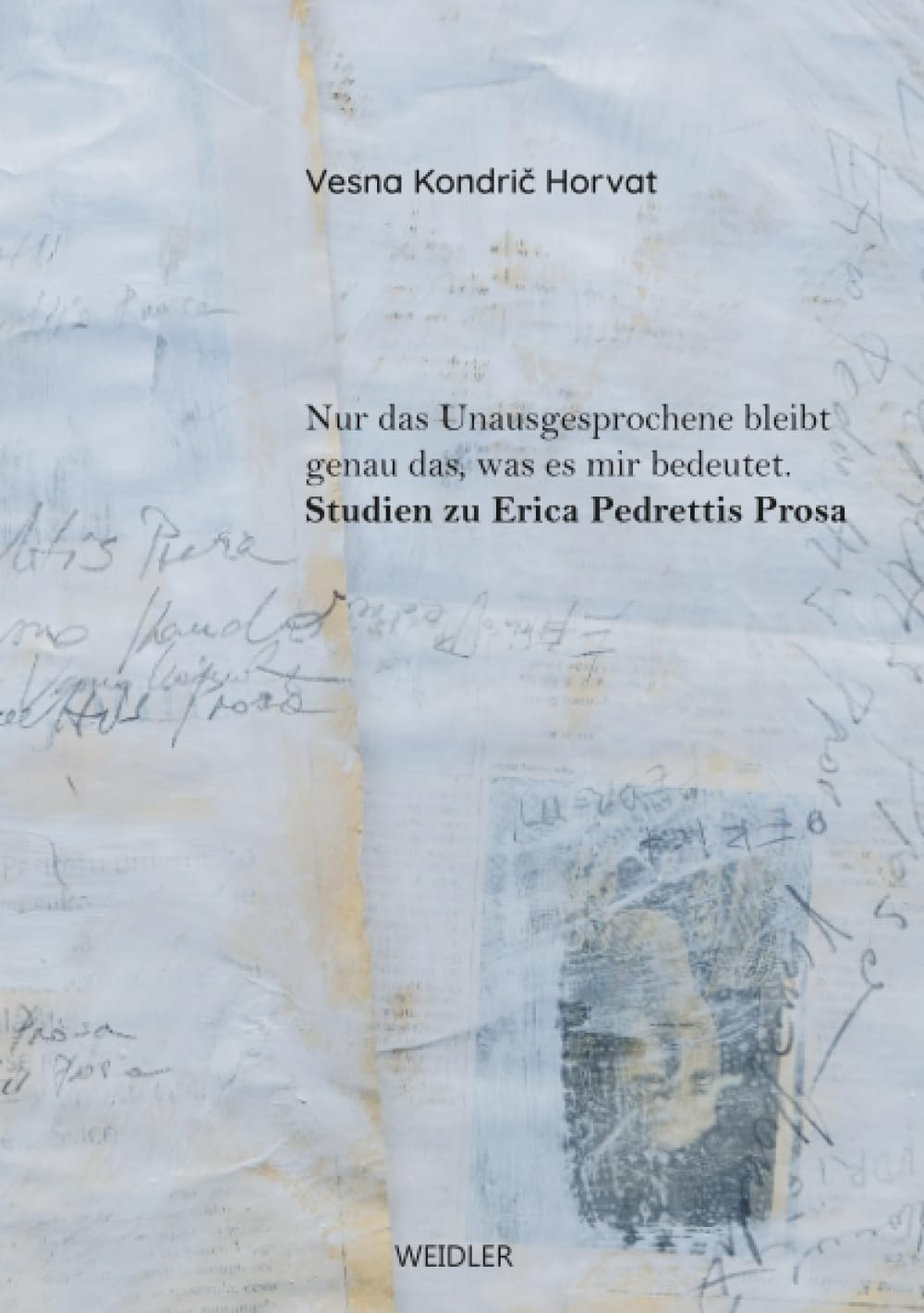 Nur das Unausgesprochene bleibt genau das, was es mir bedeutet: Studien zu Erica Pedrettis Prosa