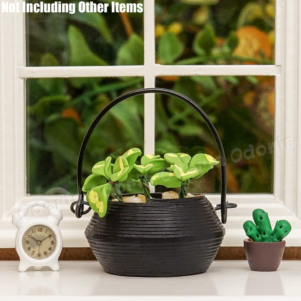 View 6