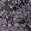 Black Hydrangea