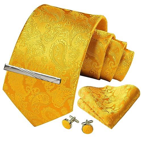 Image of Paisley Floral Mens Tie Formal Necktie Pocket Squares Ties Clips Cufflinks Classic for Men Set