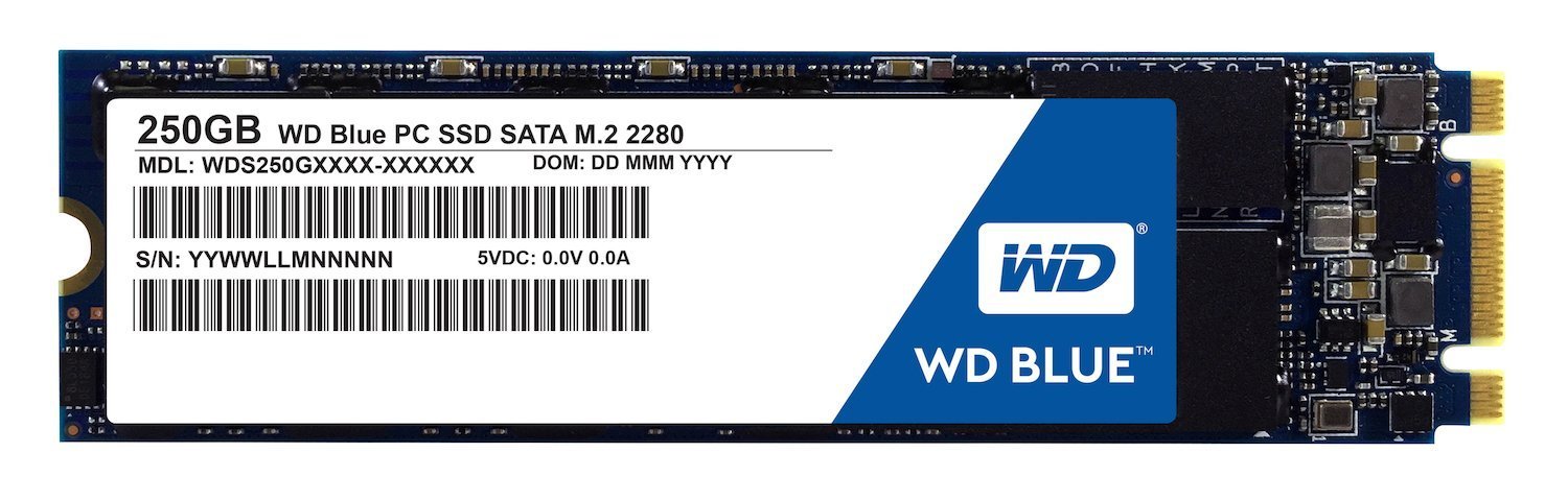 Amazon.co.jp: WD SSD 内蔵SSD M.2 2280 250GB WD Blue WDS250G1B0B