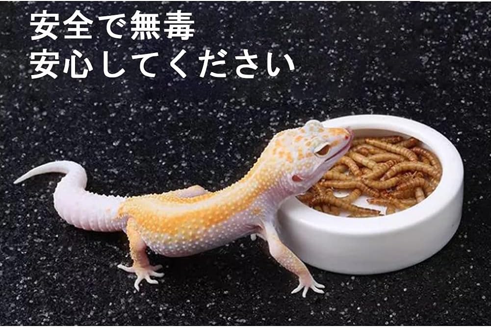 Amazon Omem 爬虫類 食品ボウル ワームディッシュミニ セラミック水皿 トカゲ 餌入れ 食器 L Omem 餌入れ ボウル 通販