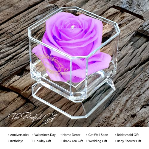 Una rosa reale al 100% che dura anni - Petali eterni, fatti a mano nel Regno Unito - Solo d'oro con cristallo Swarovski trasparente (Lilac) - Image 3