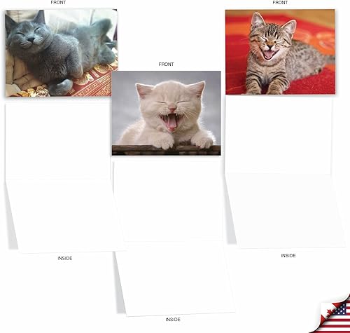 Miniatura 3 de The Best Card Company - 10 tarjetas de gato en blanco para todas las ocasiones (4 x 5.12 pulgadas) - Lindo juego de tarjetas a granel surtido -