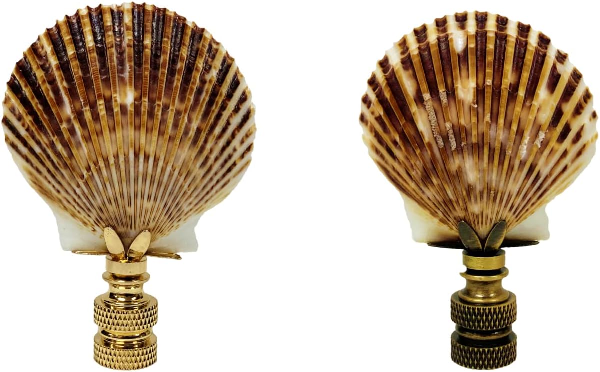 Lamp Finial-SEA Scallop Shell-Natural sea Scallop Shell with Antique Brass or Polished Brass Base (1-pc.) (Polished Brass)