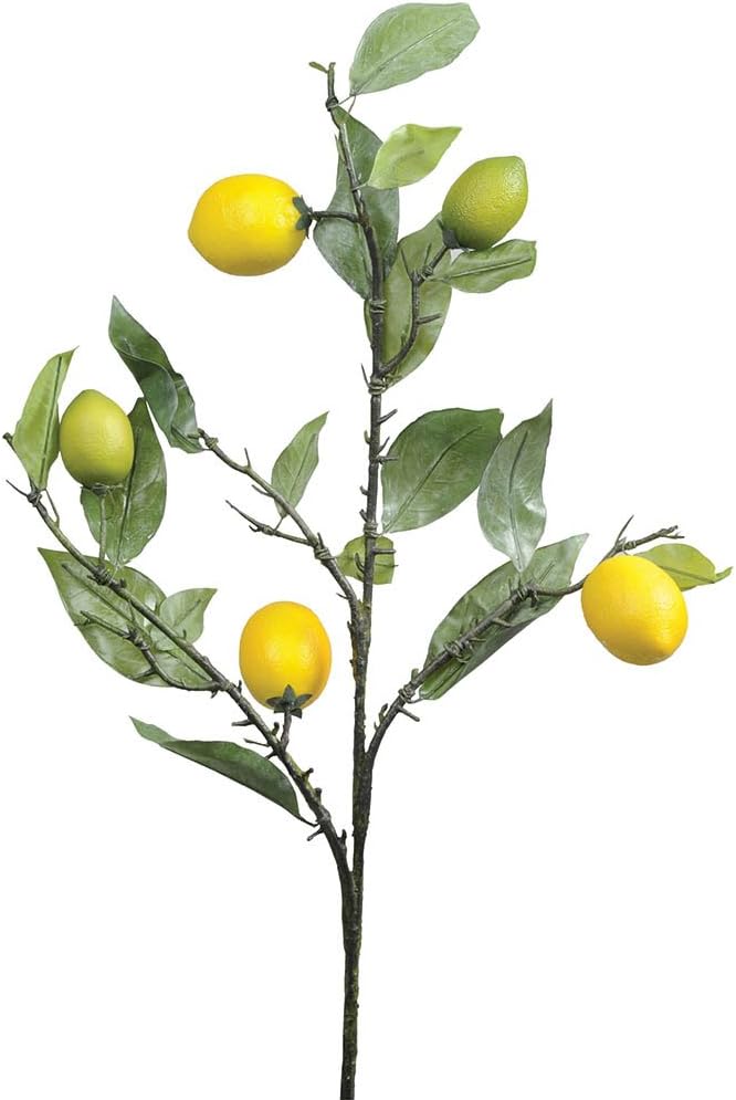 ARTIFICIAL LEMON TREE BRANCH 66CM Everything Else