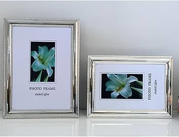 Amazon.co.jp: [XYJP] ウェディングやプレゼントにも 光沢が美しい