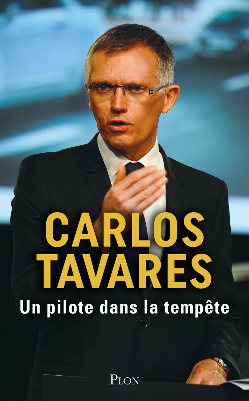 Un pilote dans la tempête