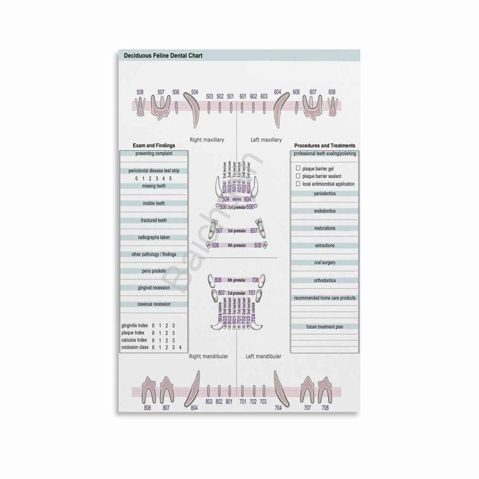 AUOQKQUT Veterinary Poster Set of 2 Canine Feline Charts Canvas Painting for Clinic Unframed,08x12inch(20x30cm)