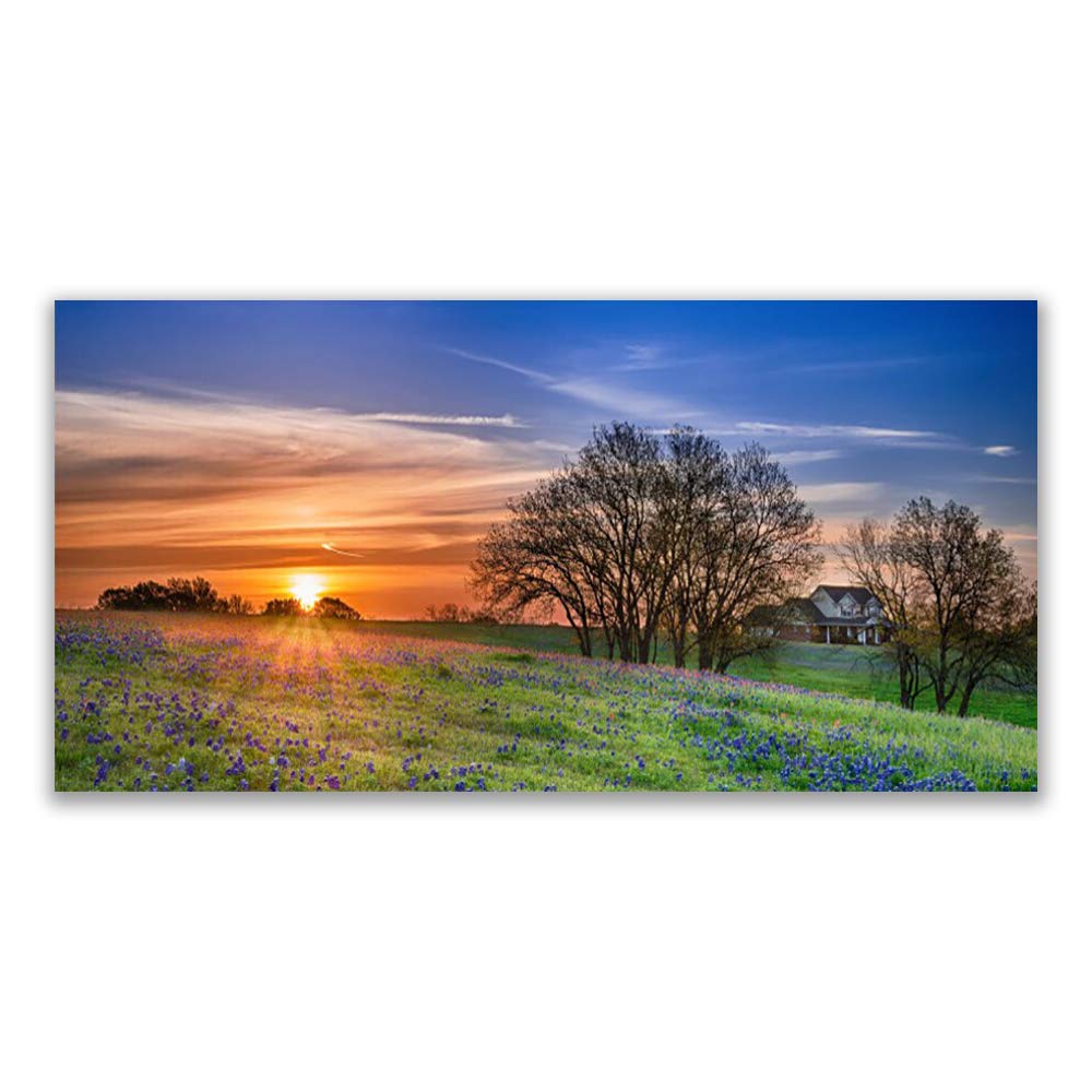 Tableau en verre trempé 140x70cm paysage Meadow Sun Tulup pour décoration murale de salon