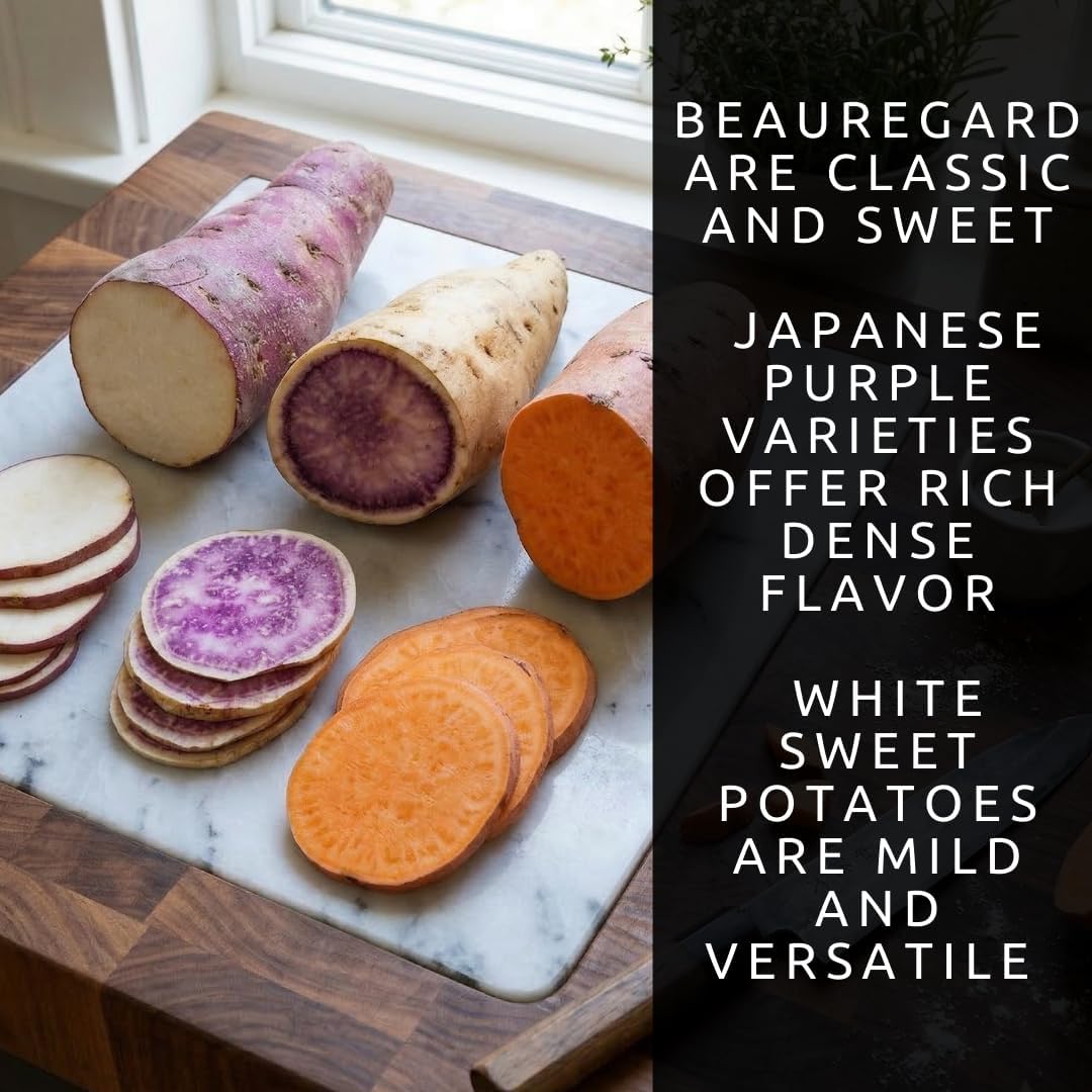 Garden Mix Sweet Potato Slips for Planting – 3 Slips of Each Variety Pack (Purple, White & Orange) – 9 Total Slips – Non-GMO Edible Garden Starts - Beauregard, Japanese Purple & White Sweet Potato