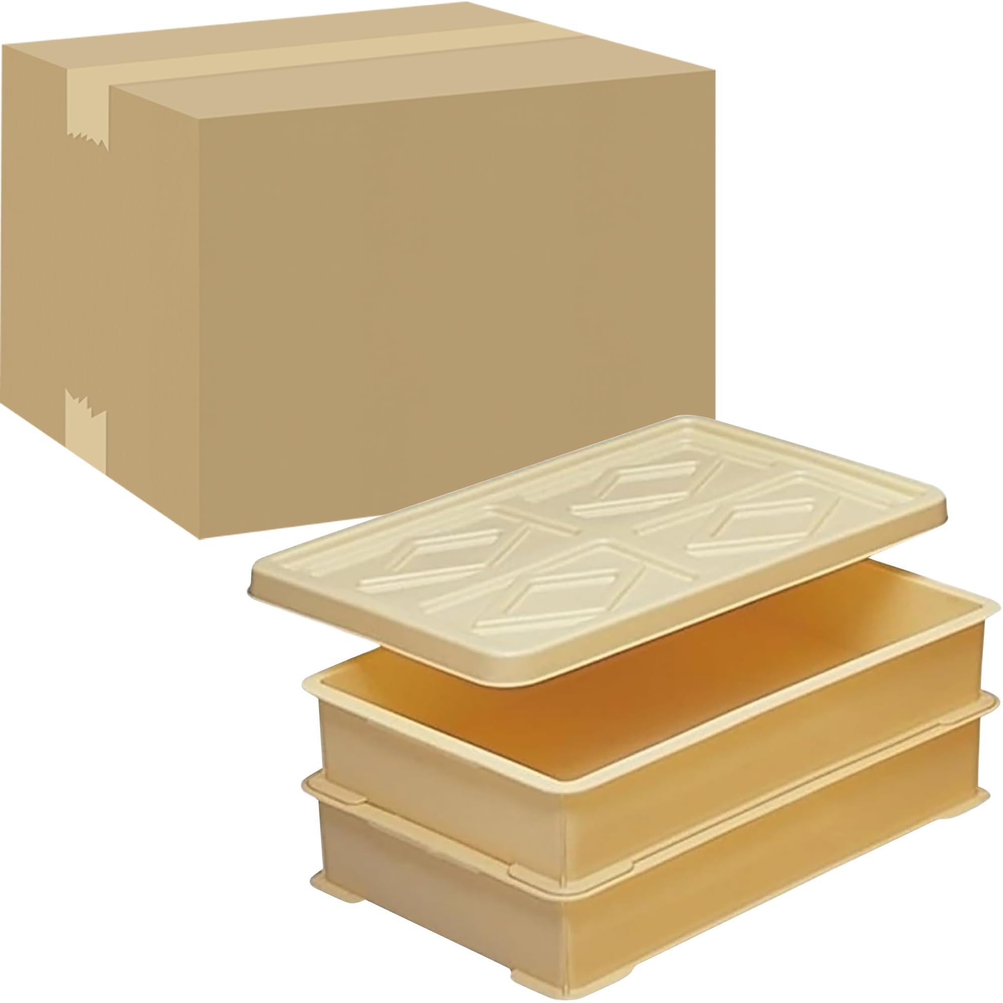 Amazon｜サンコープラスチック(SankoPlastic) 保存容器 フードテナー