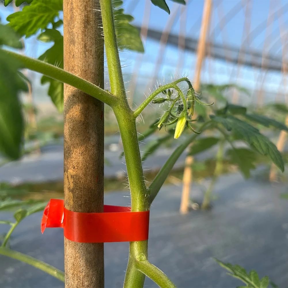 Encuadernadora Máquina de atado de plantas Gardenería Tapetool Tomatocucuctor Máquina de encuadernación Máquina de unión con cinta adhesiva Jardinería de máquinas Alicate de corte(Green)