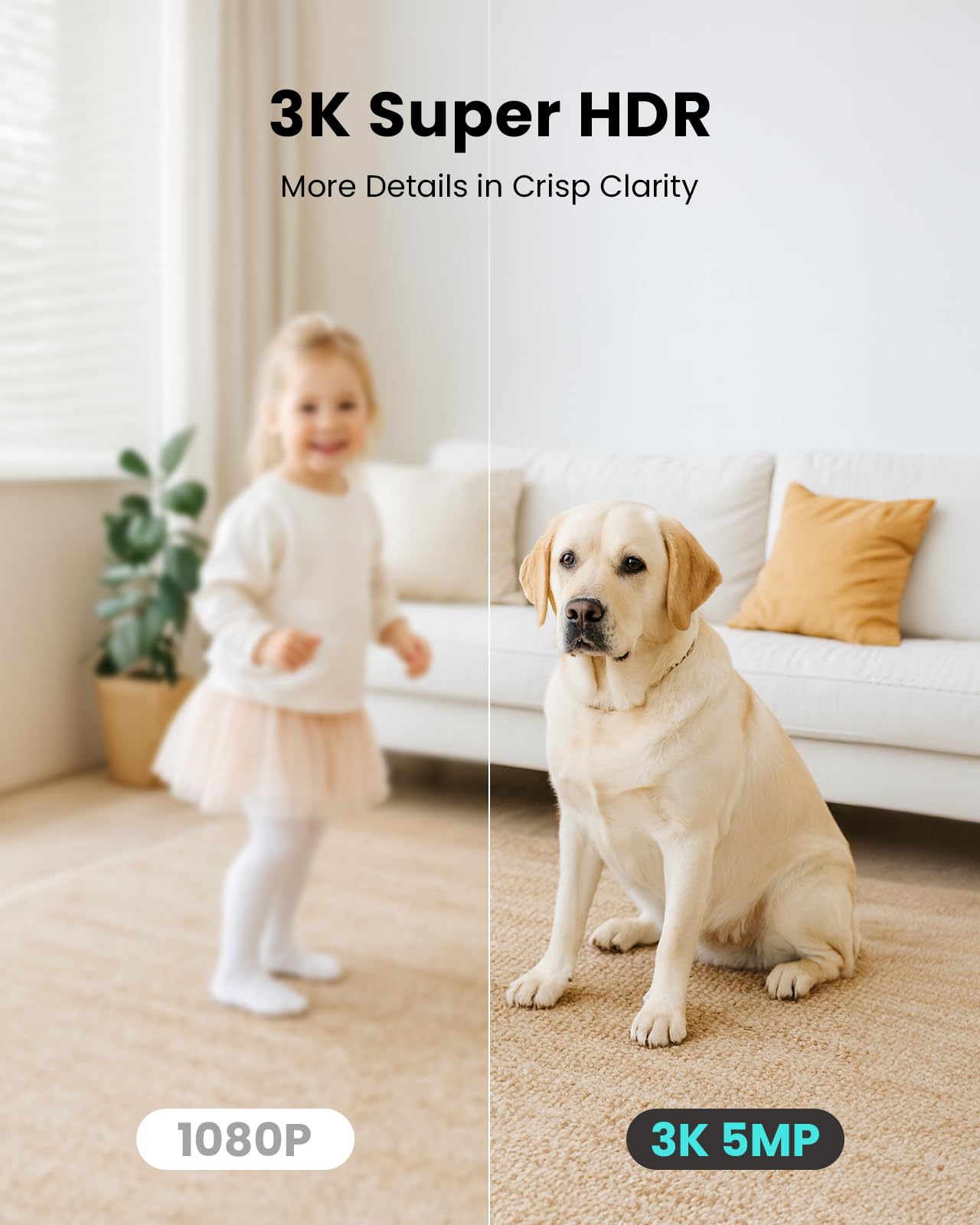 https://m.media-amazon.com/images/I/61GSp4ckUeL.jpg