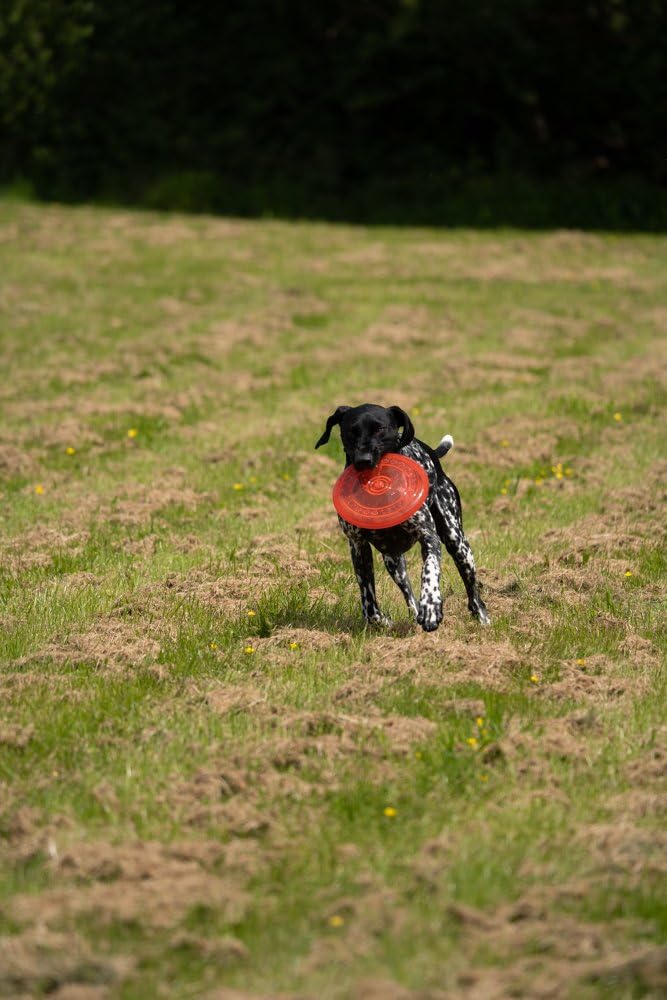 Petface Toyz gumowa zabawka dla psa frisbee - kolor może się różnić