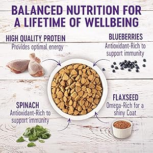 Wellness Full Well being Massive Breed Grownup Dry Canine Meals, No Corn or Wheat, Made in USA with Actual Meat, Pure Elements, Glucosamine, Probiotics & Omega Fatty Acids (30-Pound Bag)