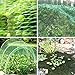 Philonext 13 Feet x 33 Feet Anti-Bird Netting Garden Plant Netting Bird Netting Heavy Duty Nylon Suit for Seedling Vegetables Flowers Fruit Bushes Reusable Fencing Garden Farm mesh