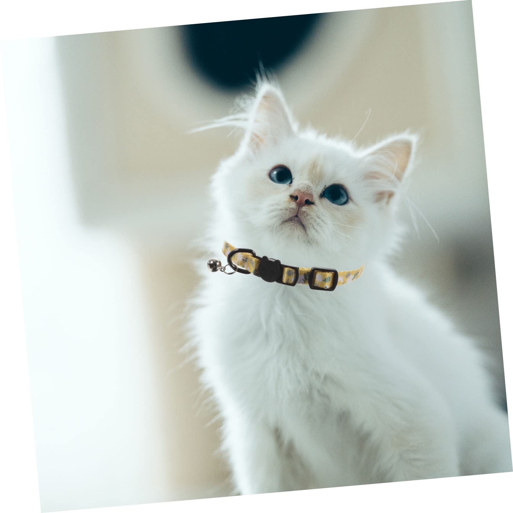 VANZACK 10pièces Collier De Chat Imprimé avec Cloche pour Chats Filles Collier Détachable Réglable Et Confortable Accessoire Festif pour Animaux De Compagnie Fleurs