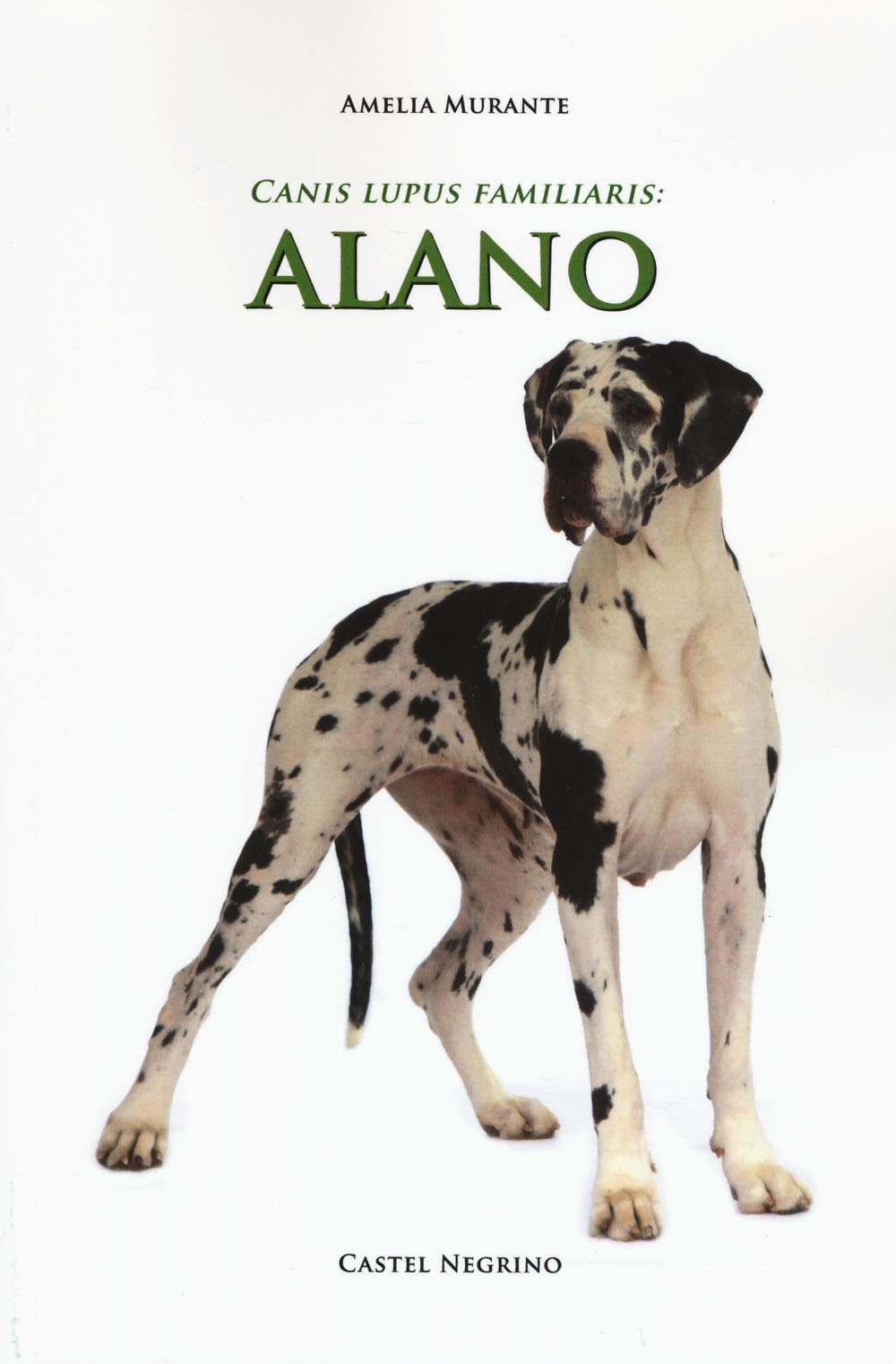 Alano - 4
