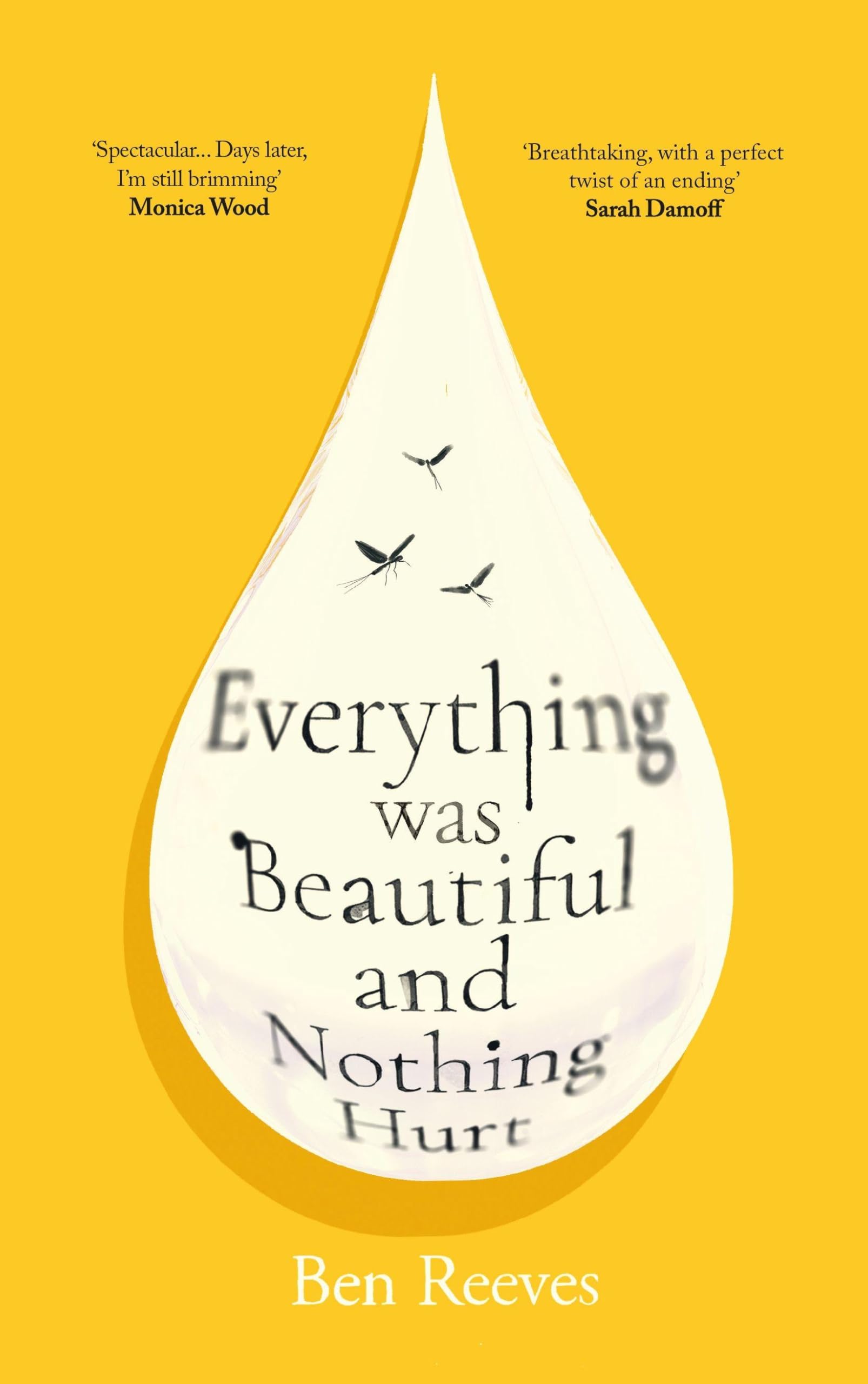 Everything was Beautiful and Nothing Hurt: 'Incredible... I guarantee it will completely alter the way you view the world' Joanna Cannon