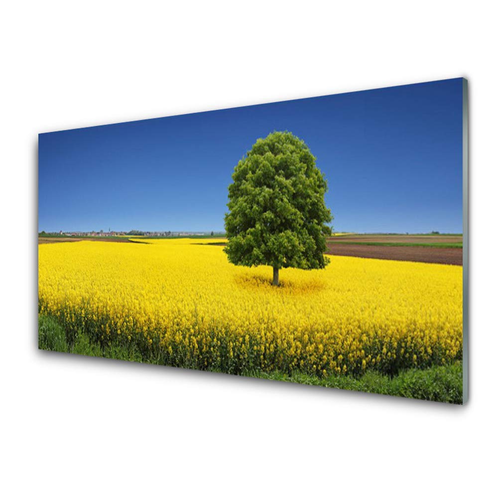 Tableau moderne verre trempé 100x50cm pour masquer les murs ternes