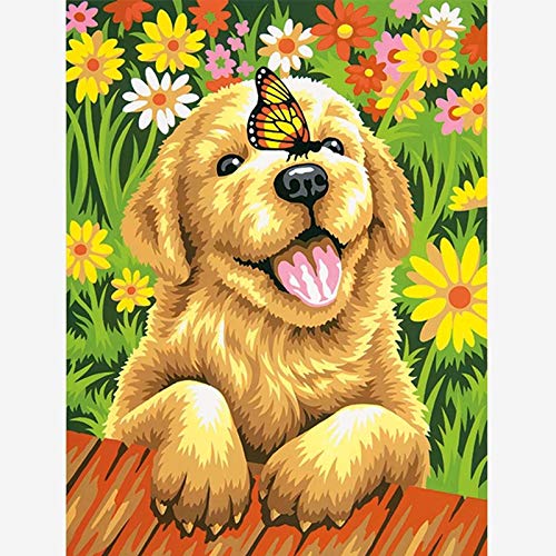 Zeyevan 5D Diamond Painting Kits for Adults Dog Butterfly DIY Diamond Art Kits Animal Round Rhinestone Cross Stitch Embroidery for Bedroom Living Room Office 30x40cm